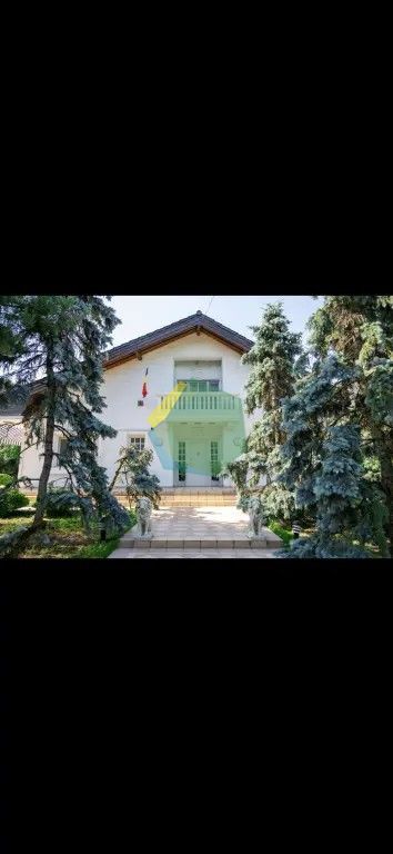 VILĂ IMPRESIONANTĂ CU PARC PRIVAT | 400 mp Construiți | 2.800 mp Teren - Poză 24