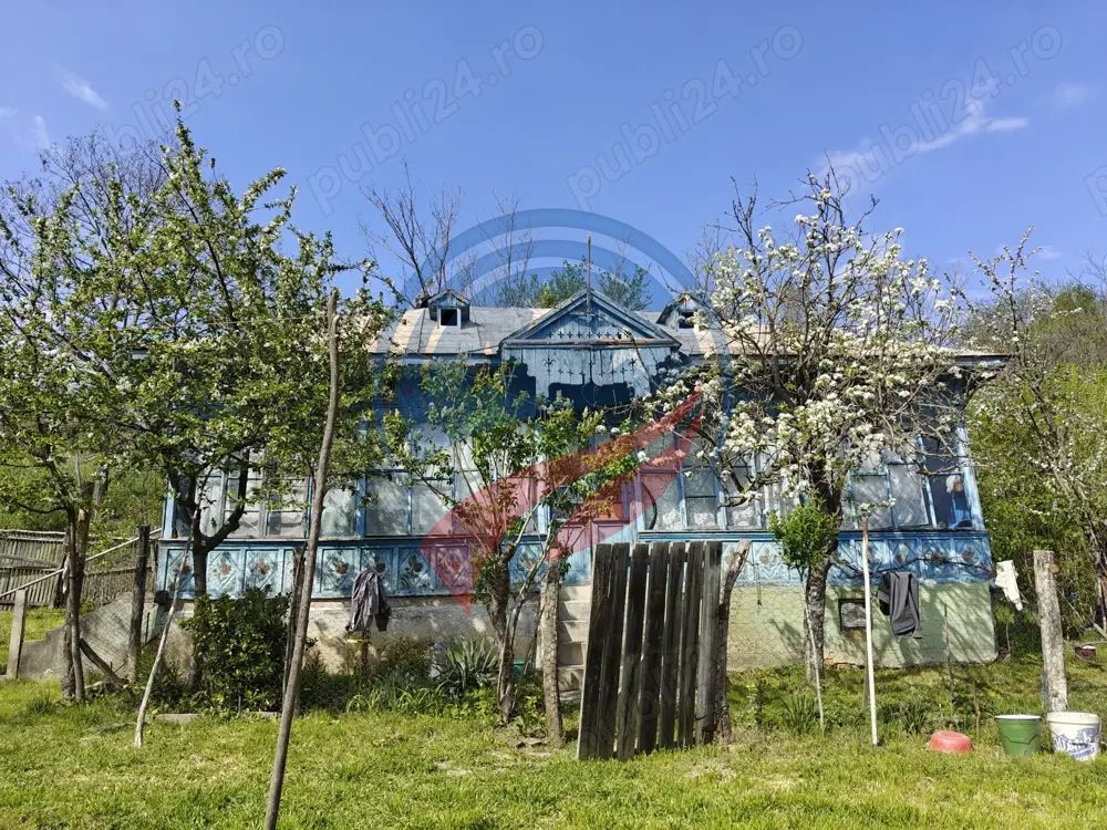 CASA LA 20 KM DE CRAIOVA CU 10000 MP. TEREN - Poză 2