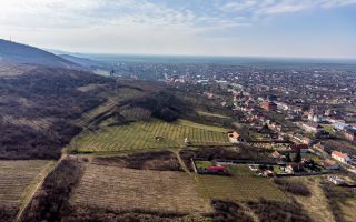 Teren intravilan în Șiria pe deal - Poză 3