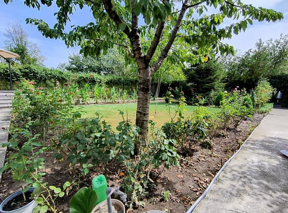 Baneasa- Pipera- Rond OMV- Henri Coanda - Poză 32