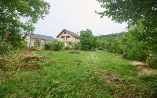 Teren 2240 mp intravilan + casa batraneasca Hintesti-Basangesti - Poză 4