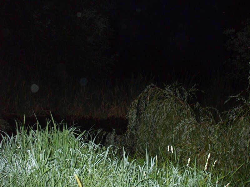 Casa de vanzare Albestii-Arges - Poză 32