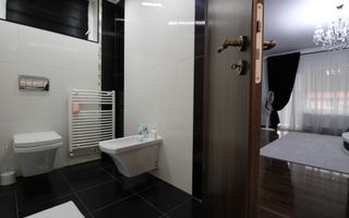 Sat Giroc, ideal pentru diverse afaceri sau pentru locuit. - Poză 14