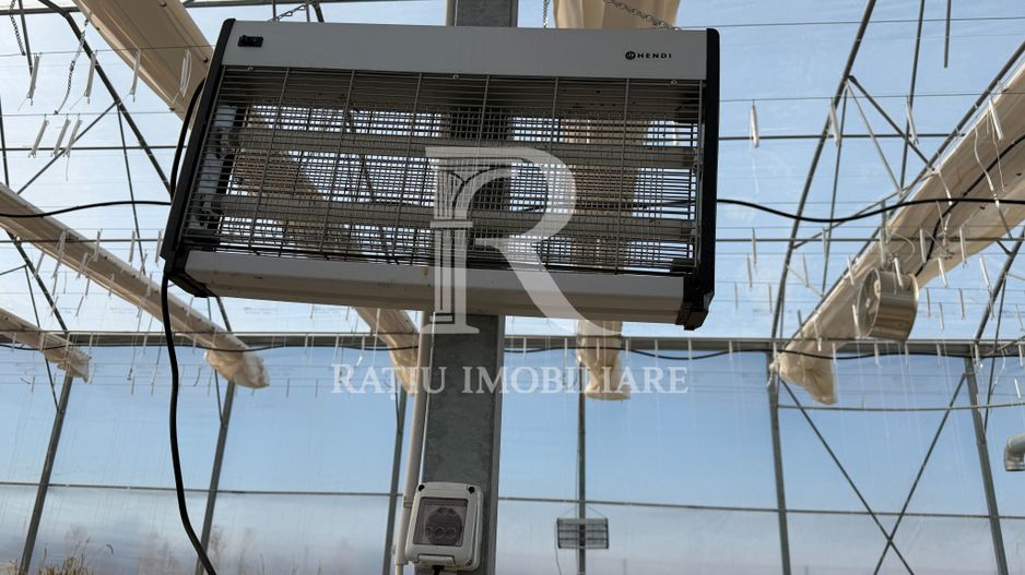 Complex agroindustrial de închiriat | Sere 3.300 mp - Poză 18