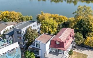 Vila unica de vanzare, gradina matura si vedere la Lac, in zona Tei - Poză 2