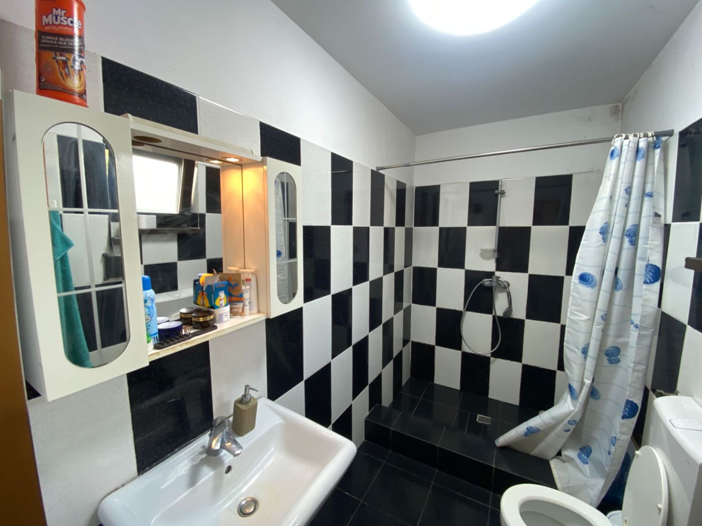 COMISION 0%, Casa Individuala, 110mp, Teren 1480, Parc, Sauna, SACALAZ - Poză 19