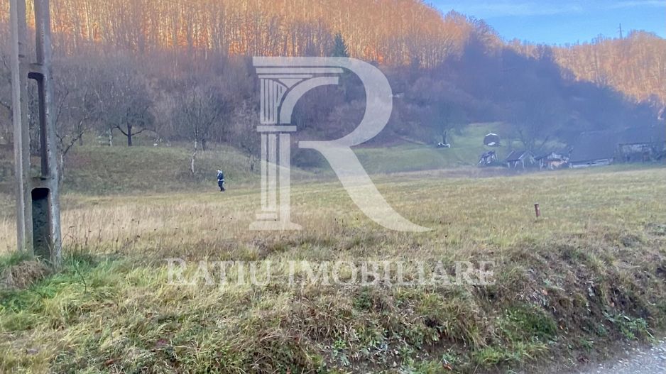 OPORTUNITATE DE INVESTIȚIE | TEREN INTRAVILAN | 1.500 MP | APROAPE DE APĂ | BULZ - Poză 4