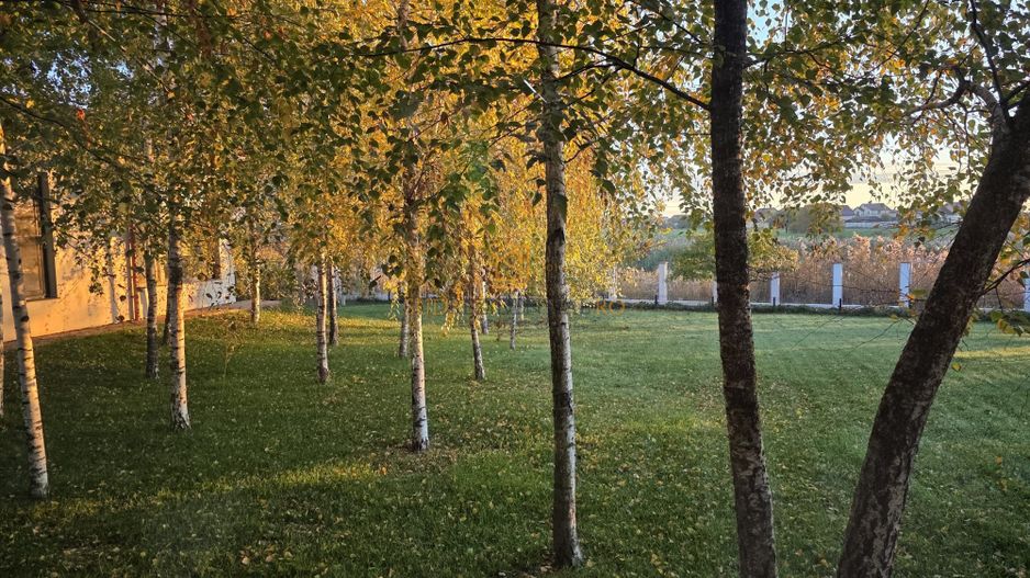 Resedinta spectaculoasa  – Vila exclusivista deschidere directa la lac - Poză 39