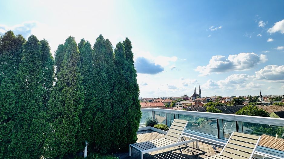 Luxury penthouse for rent/sale - Poză 14