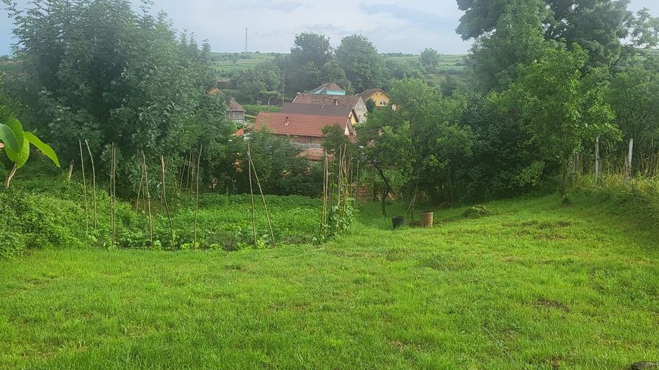 Casa saseasca renovata, cu sura - Seica Mare, Sibiu - Poză 7