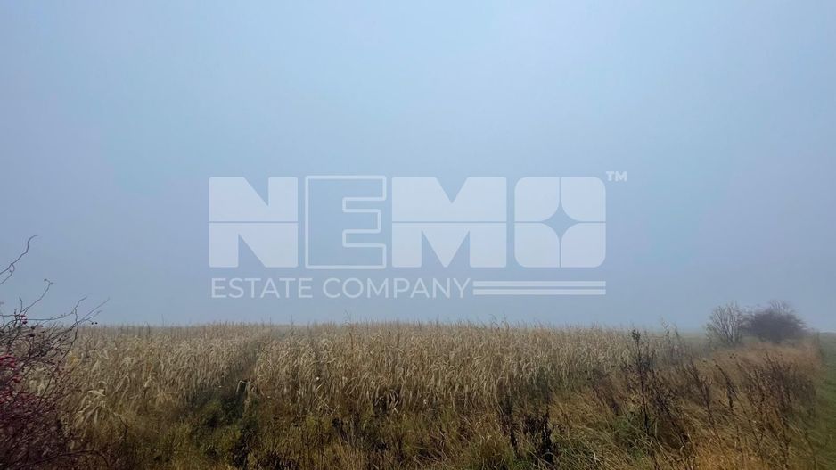 TEREN EXTRAVILAN | DOUA PARCELE 2.84 HA| IDEAL AGRICOL | DARMANESTI - Poză 18