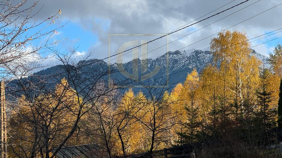 Intravilan 1000 mp | Sohodol-Priveliște panoramică către munți Bucegi - Poză 3