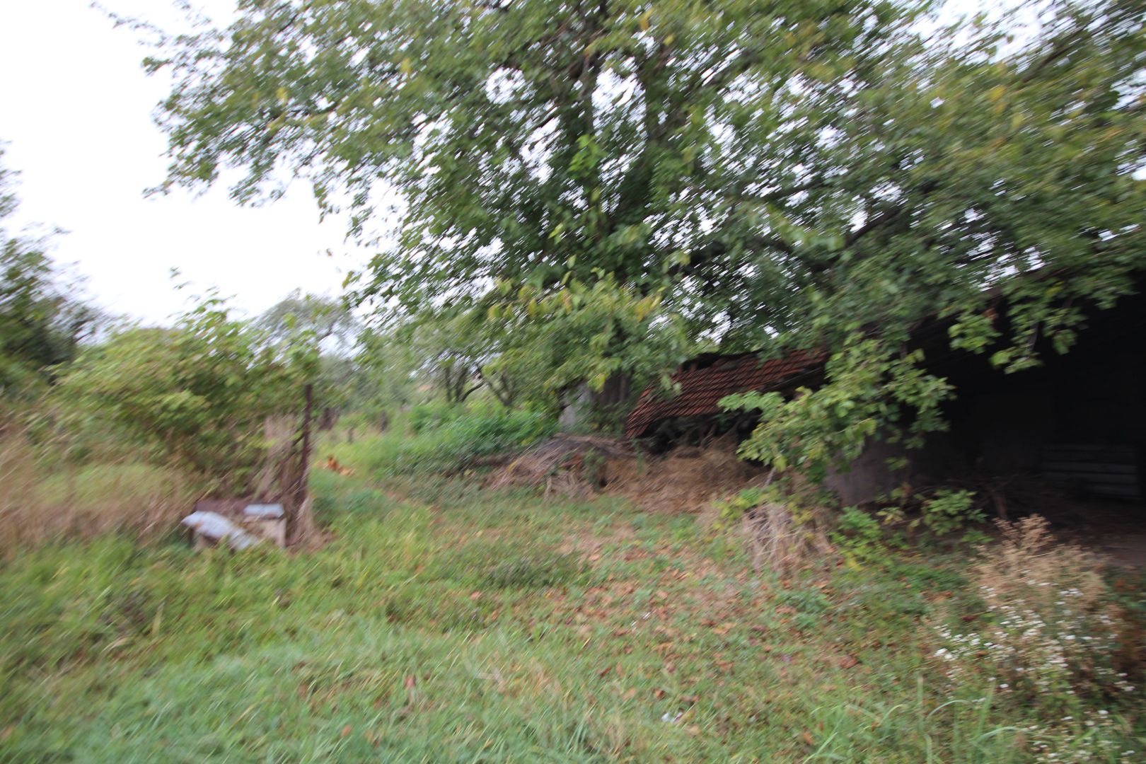 Teren de vânzare - 1900 mp Dumbravita - Poză 7