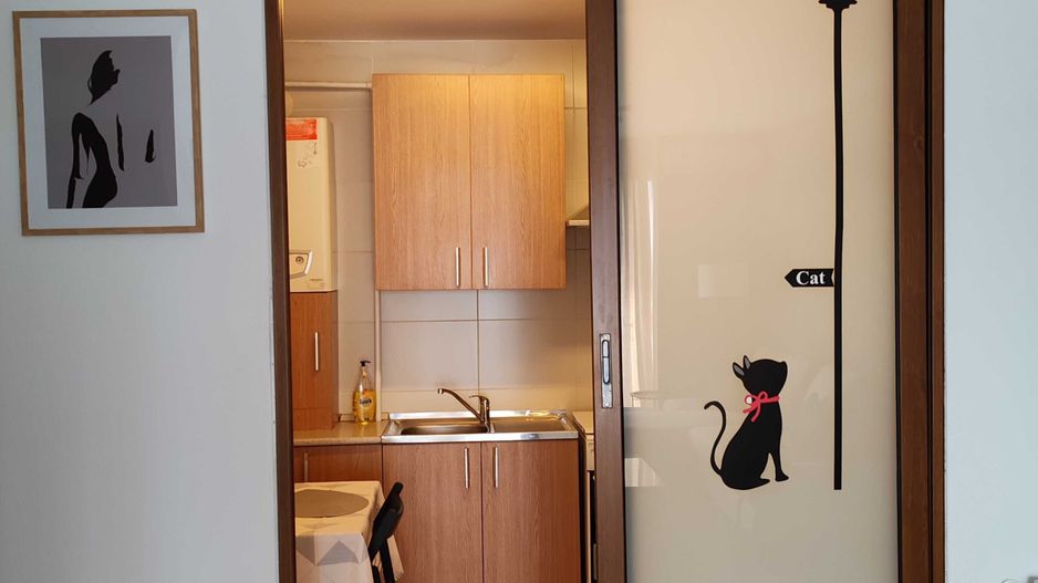 Apartament 2 camere Costin Georgian-Morarilor | Parcare subterana - Poză 4