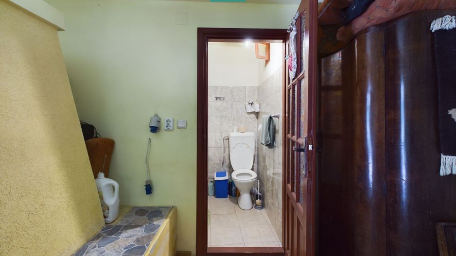 Casă cu livadă de pomi în Dorobanți - Poză 17