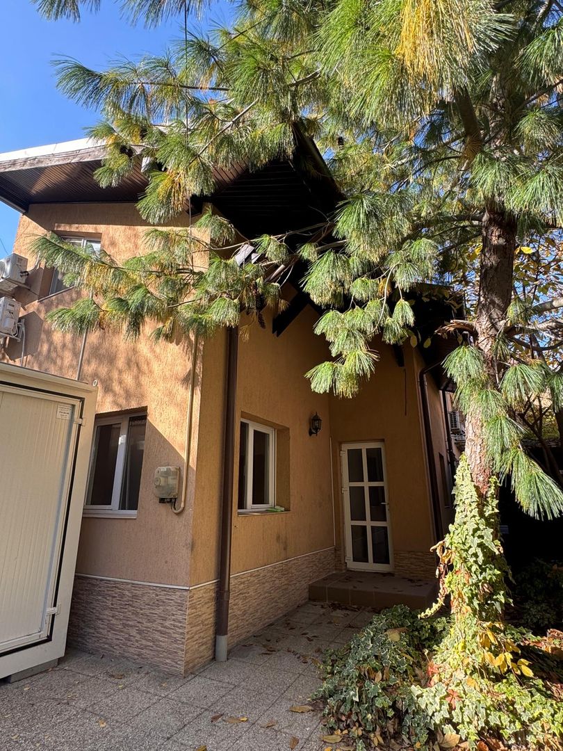 Vila ideala pentru 1-2 firme, gradinita, cresa sau 2 familii - Poză 1