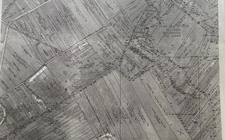 Teren 2 hectare Cighir - Bistrita - Poză 3