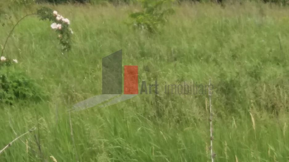 Teren Buftea cu iesire la lac - Poză 29