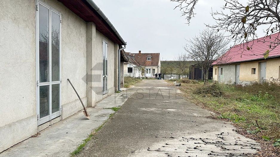 Casa cu 3 Hale si teren 8000 mp in Ulileacu de Cris, Bihor - Poză 15