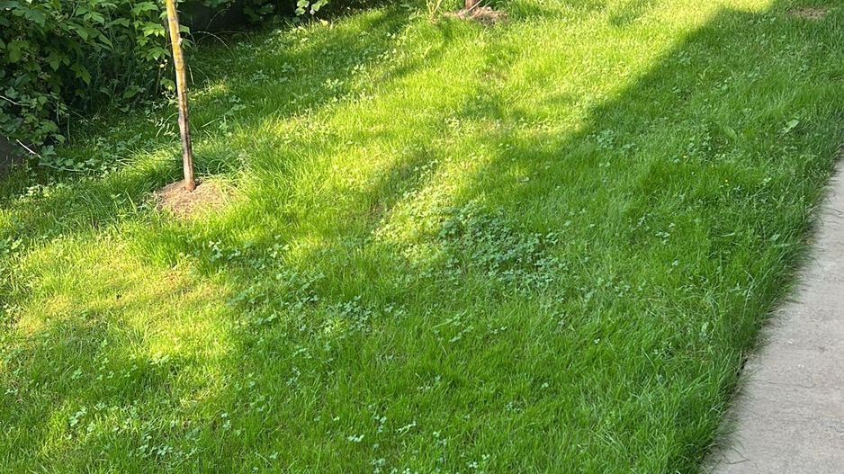 Vilă 4 camere | Tunari | De Vânzare - Poză 10