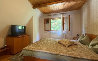 Proprietate cu front la rau si piscina exterioara in Baisoara - Poză 10