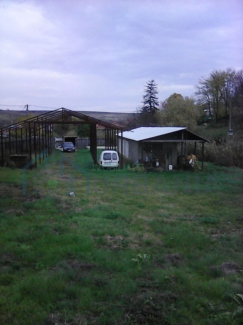 Proprietăți în satul Radeni, comuna Roscani, județul Iași – terenuri și construcții - Poză 1