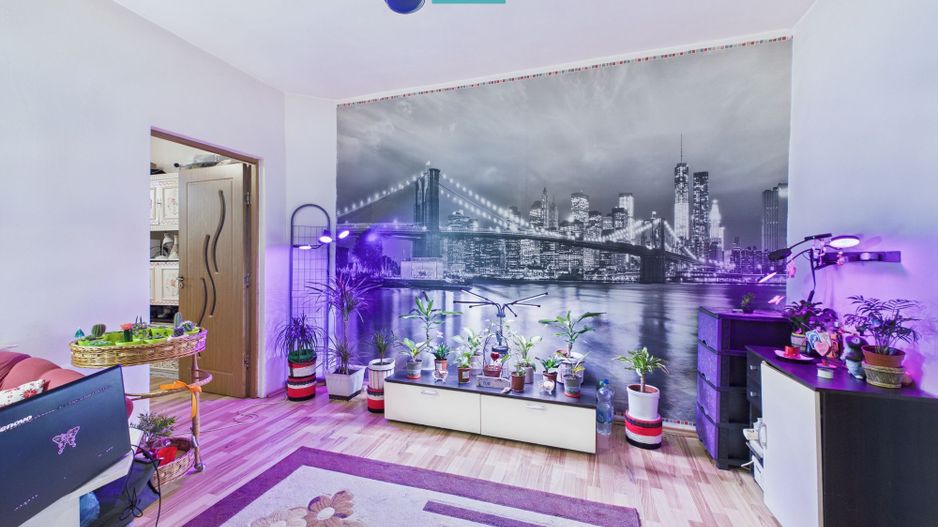 Casa cu 6 camere in Parneava - Poză 5