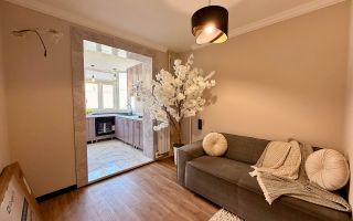 Vânzare, apartament, 1 cameră, bd. Cantemir, Centru - Poză 2