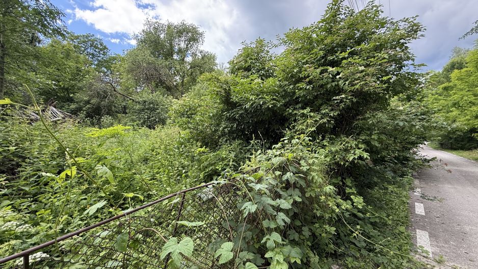Teren intravilan 683 mp deschidere la strada asfaltata ! - Poză 13