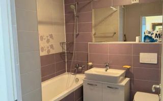 APARTAMENT IN ZONA ARCUL DE TRIUMF - Poză 5