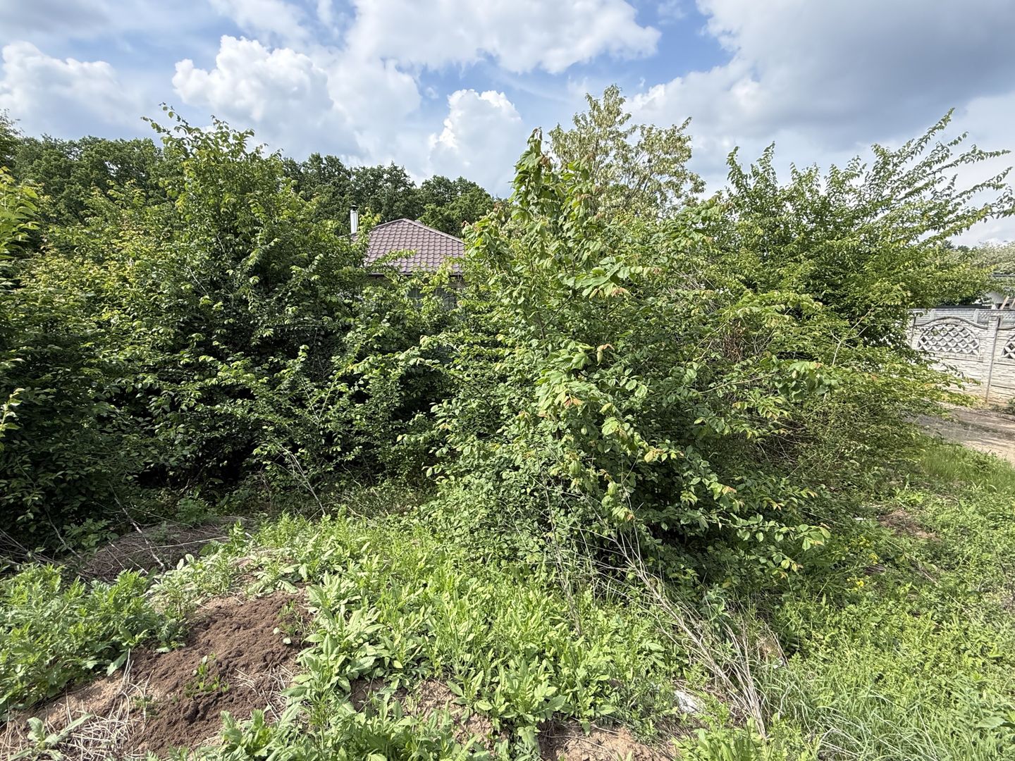 Teren intravilan 498,02 mp langa pădure , strada privata Corbeanca - Poză 8