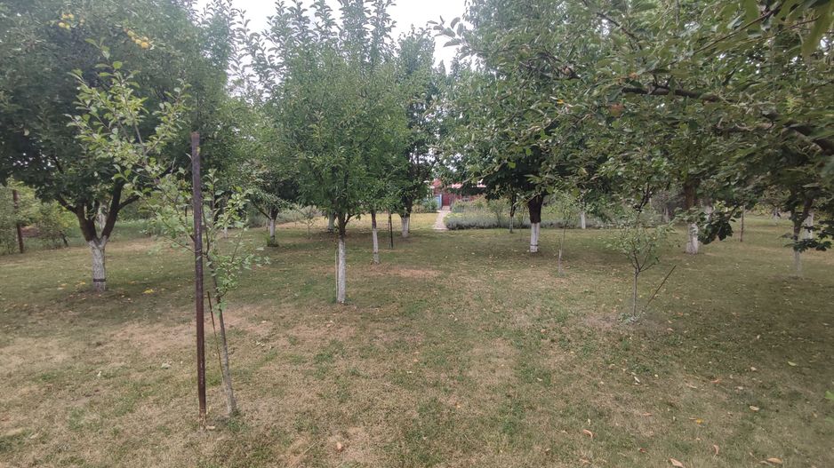 Sanadrei, Casa individuala, Suprafata teren generos, Garaj, terase si anexe - Poză 3