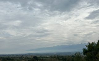 Teren | 1.500 MPU | Bradu - Poză 4