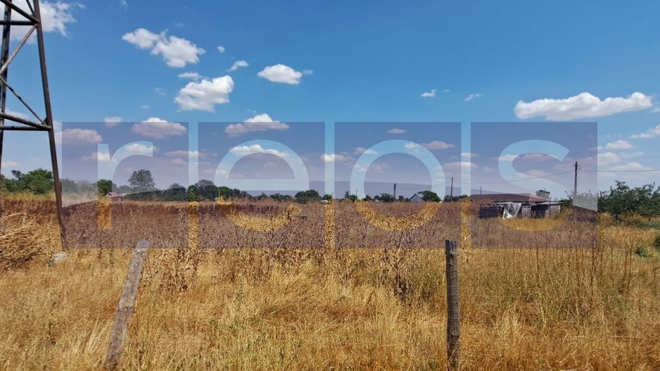 VANZARE TEREN 45.000 MP | IDEAL FERMA, HALA, PANOURI SOLARE | SACENI, TELEORMAN - Poză 2