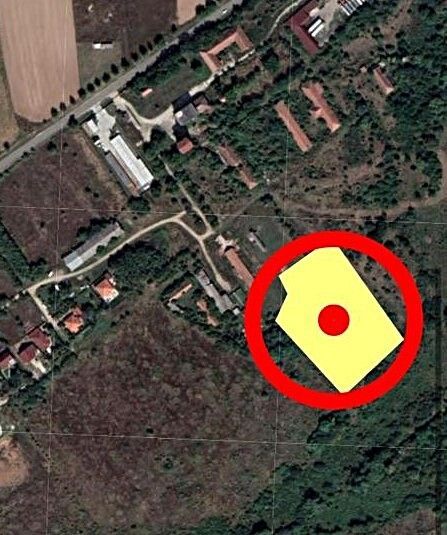 Teren intravilan de vanzare cu o suprafata de 9398 mp in Paleu,Bihor - Poză 3