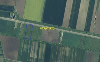 COMISION 0% Teren extravilan 1 ha | Recas - Poză 3