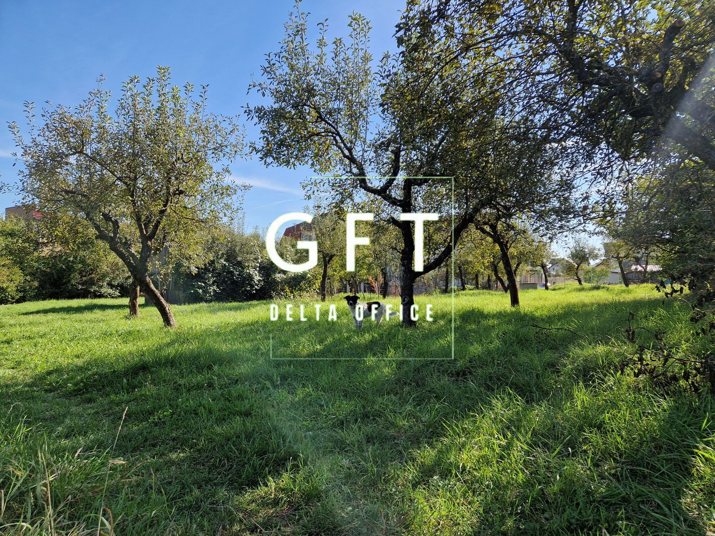 Teren intravilan de vanzare in Bistrita - zona Rompetrol - Poză 4