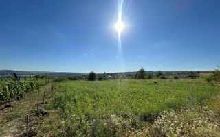 Teren de vânzare 10 ari Sângera (Floreni) - Poză 3
