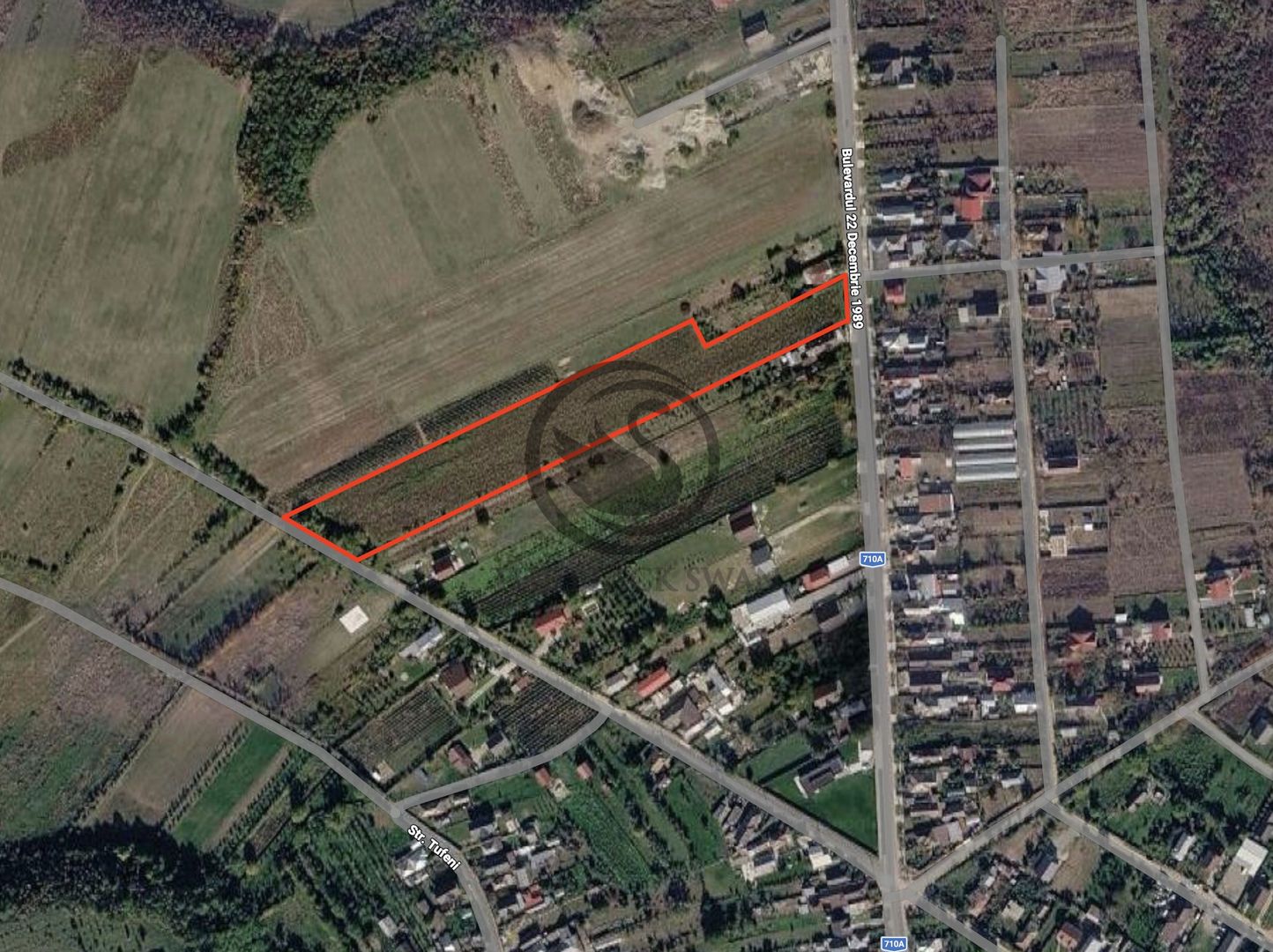 Teren intravilan de vanzare | 12.650 mp | Ghirdoveni | Comision 0% - Poză 2