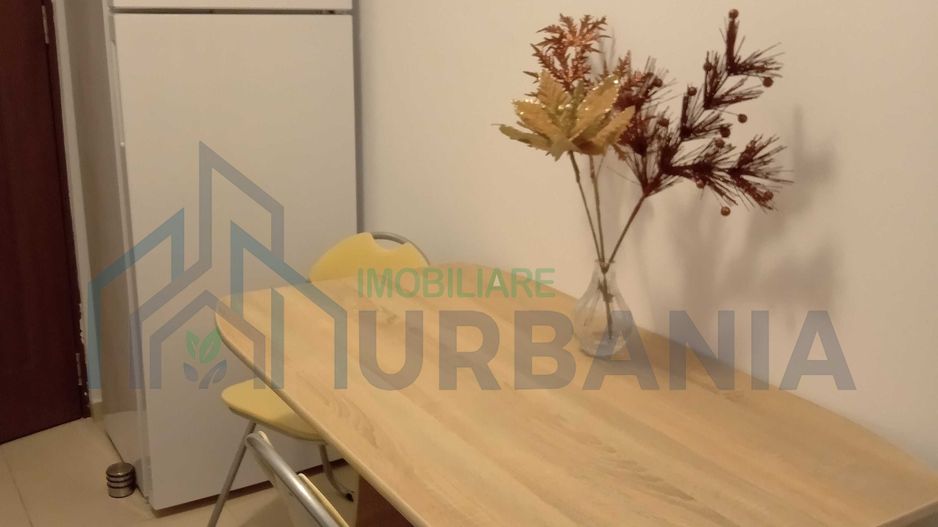 Apartament cu 1 cameră decomandat, mobilat și utilat, de închiriat în Iași - Poză 3