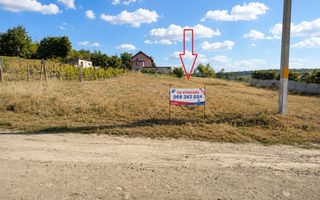 Teren pentru Construcție – 12 Ari în Țînțăreni, Anenii Noi - Poză 4