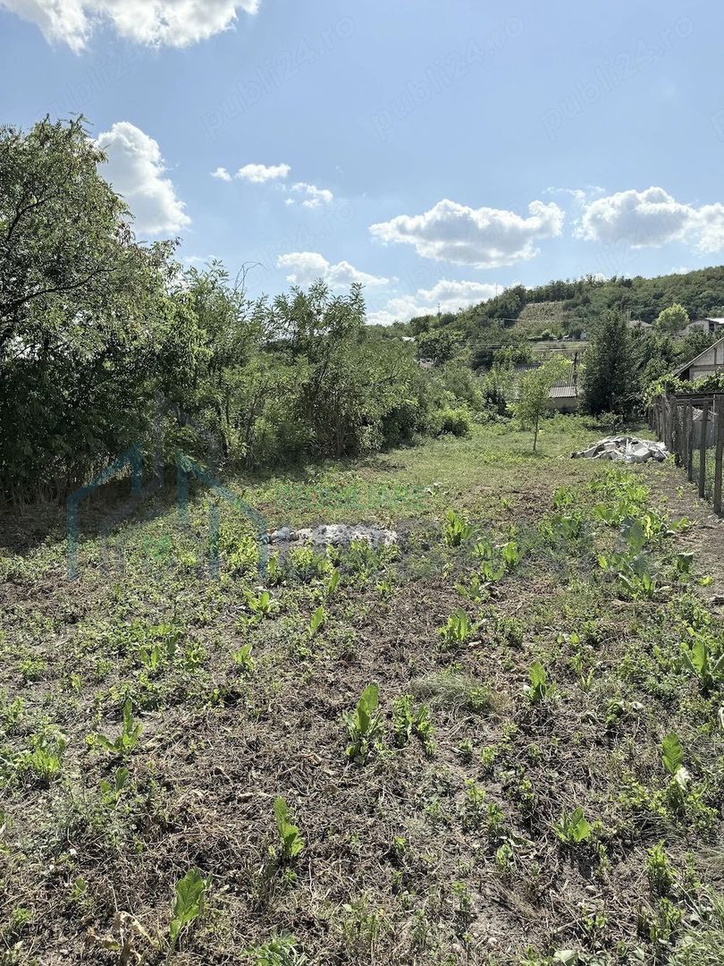 Casă + Teren 521 mp în Sat Bălteni, Comuna Probota, Județul Iași - Poză 2