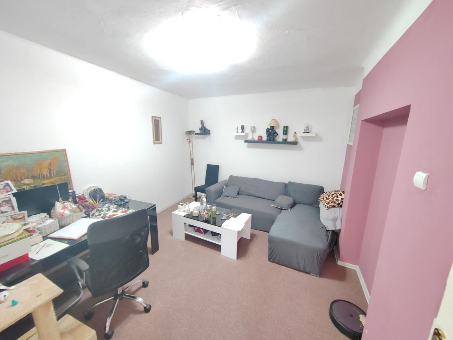 Mosilor Spatarului casa 3 camere - Poză 2