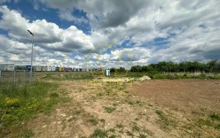 Teren intravilan pentru servicii sau industrial | Dumbravita - Poză 4