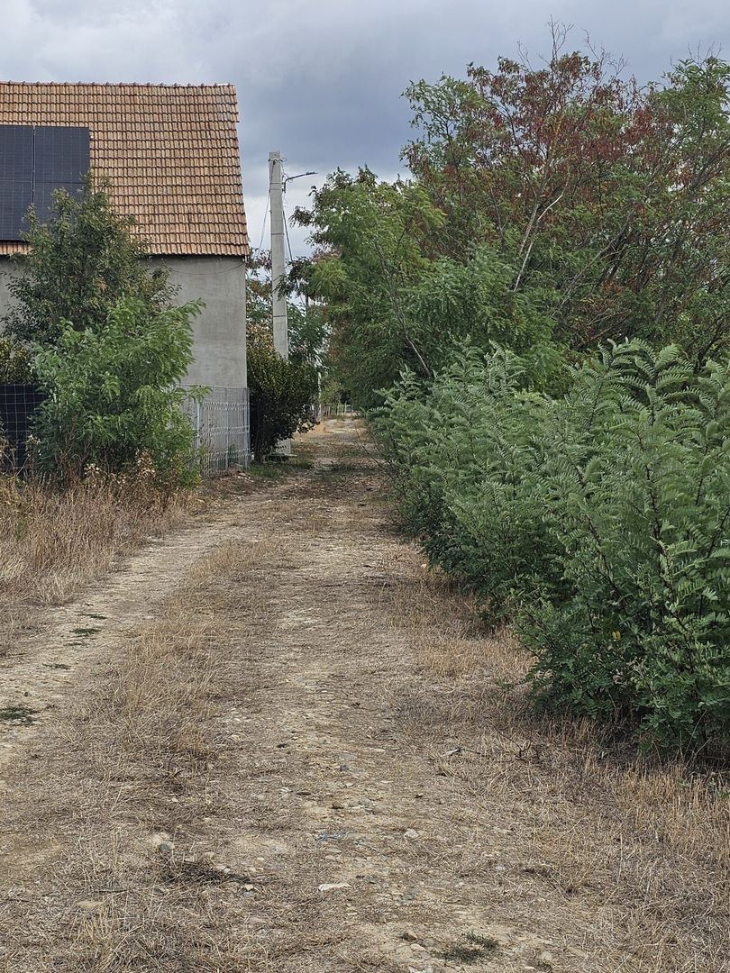 Teren Intravilan Sacadat 2000 mp - Poză 3