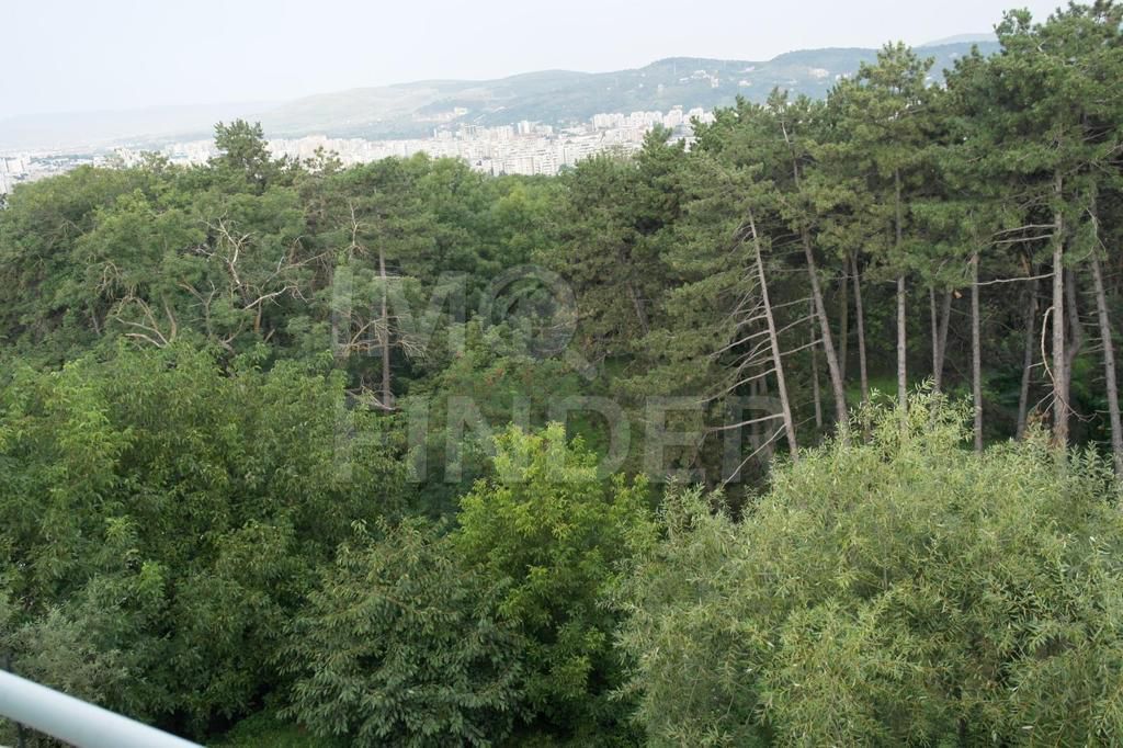 Apartament Zorilor pentru UMF Bloc 2006 - Poză 4