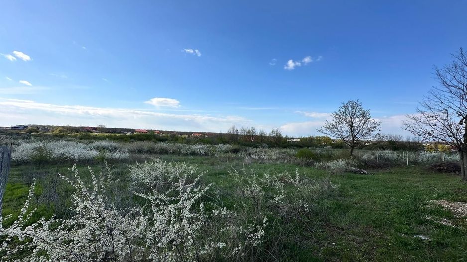 Mogosoaia, teren 792 mp, vedere la lac, utilitati, STB la 750 m (R470) - Poză 2