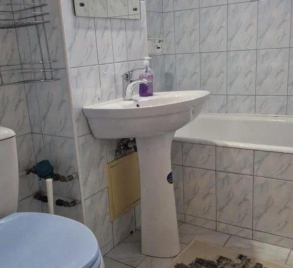 De inchiriat apartament cu 2 camere, Mazepa 1 etaj 3, 450 euro - Poză 2