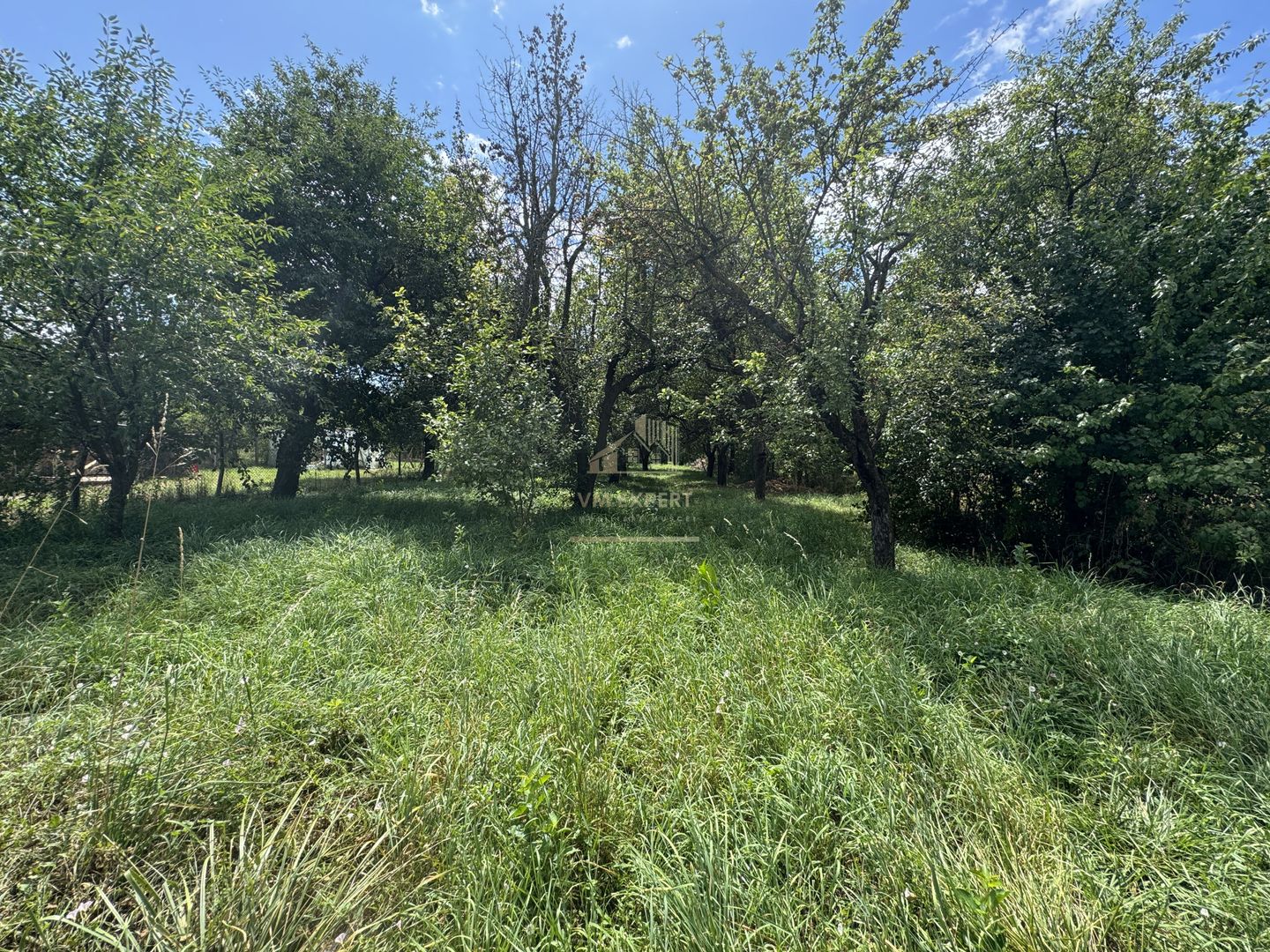 CASA 3 CAMERE CAMPULUNG, TEREN 1964 MP - Poză 21