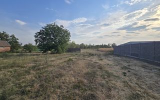Teren intravilan 6.514mp | 39m front stradal | Ciocaia | Săcuieni - Poză 2